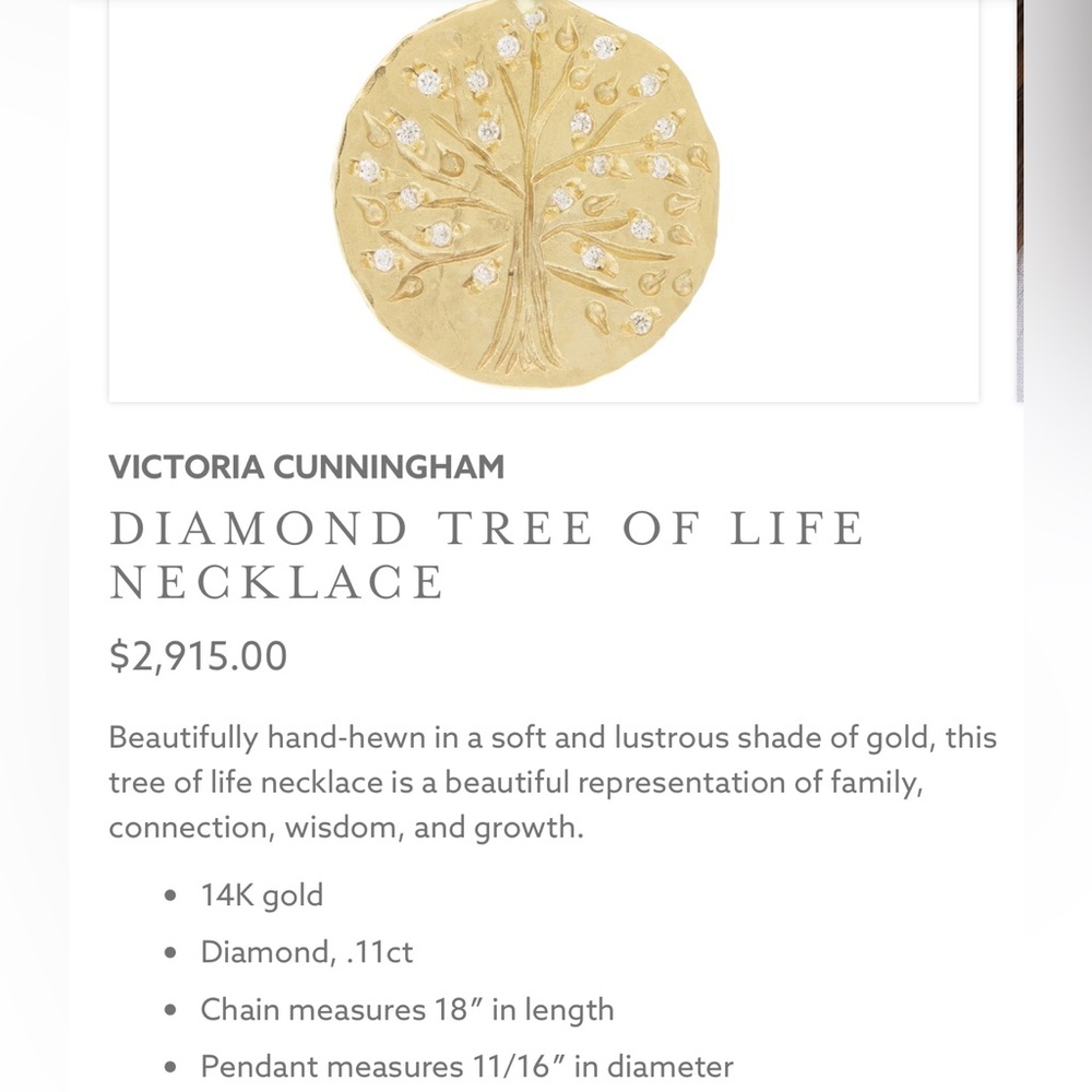 Victoria Cunningham “Arbit Vitae gold diamond necklace”. NWT from Sundance. - Picture 6 of 7